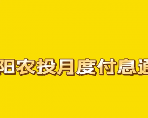 最新汝阳月度付息通知